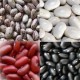 Wholesale Frozen Food Long Red Kidney Bean